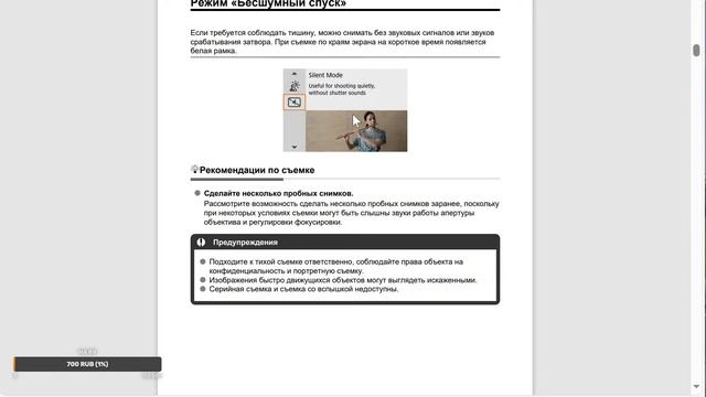 Немного о разном. Смотрим инструкцию к Canon R100