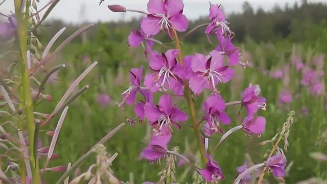 Загадочная атмосфера