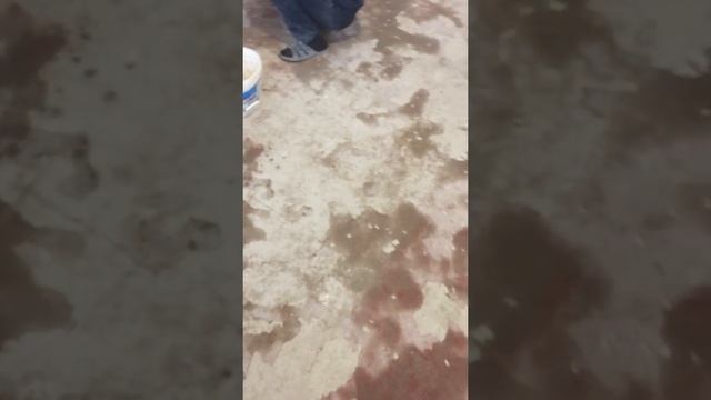 Грунтовка пола перед заливкой нивелирующей смесью. смотреть онлайн