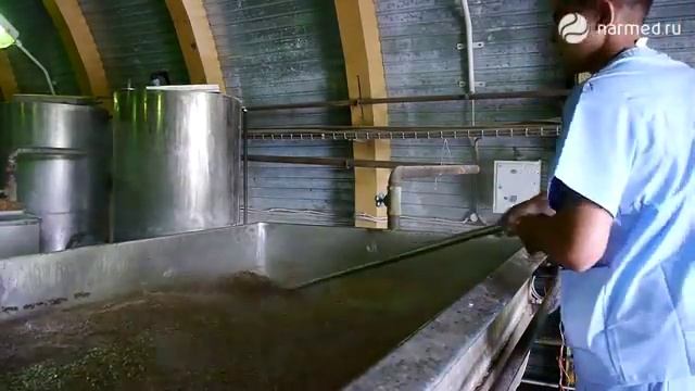 БИОЛИТ («Цветущая Долина» с птичьего полета) смотреть онлайн