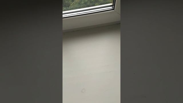 Гринвей. Как похудеть с пользой для дома? смотреть онлайн