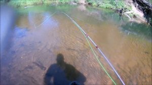 РЫБАЛКА В ДИКОЙ ГЛУШИ Псковской области. Река кипит от рыбы!!!