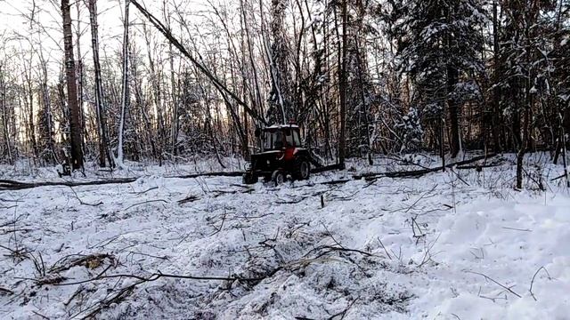 Т-25 на заготовке дров смотреть онлайн