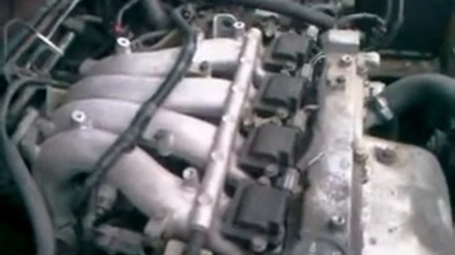 VIDEO0015 смотреть онлайн