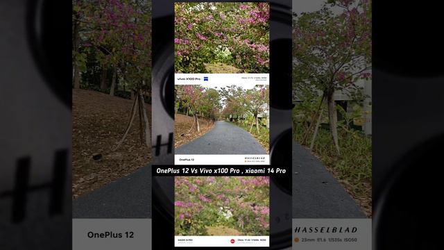 Oneplus 12 VS Vivo X100 Pro Camera Comparison! смотреть онлайн