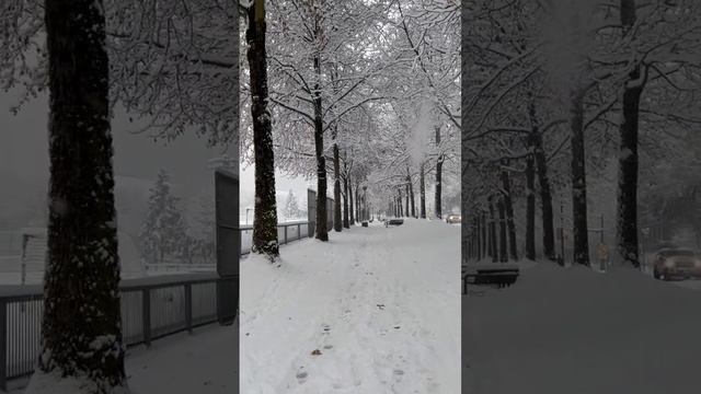 Vancouver Snowstorm (Jan 2024) #vancouverbc #snowday #604 #snowfall #vancouver смотреть онлайн