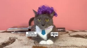 КОТИКИ В ШКОЛЕ - ИГРА 
  @kotynet