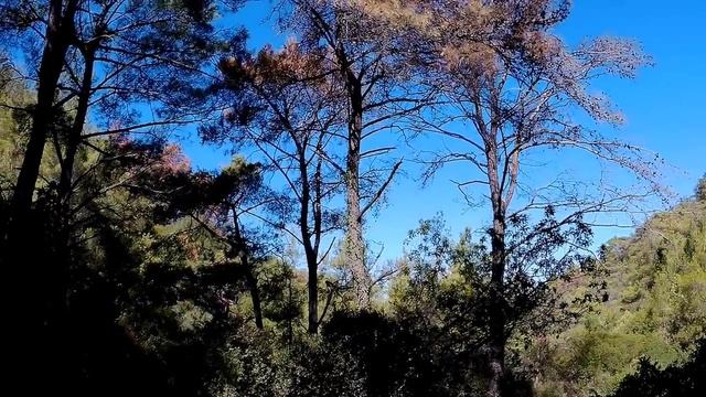 родос долина бабочек 18 смотреть онлайн