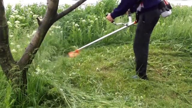 Motocoasa Ruris Dac310 la cosit iarba deasa смотреть онлайн