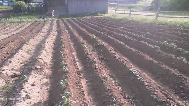 Рыхление почвы, дисковым окучником смотреть онлайн