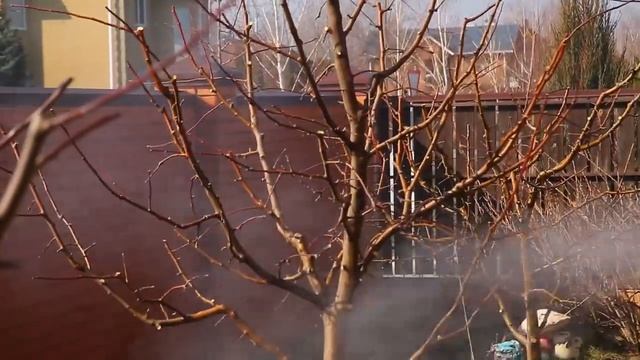Осенняя обработка препаратом 30Д от компании Агропромника смотреть онлайн