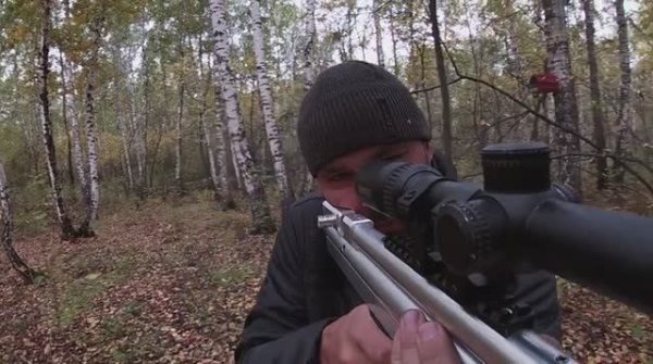 PCP ПНЕВМАТИКА от ASS79 _ ДЕШЕВАЯ ВИНТОВКА PCP ДОРОГОЙ _НАПИЛИНГ_ _ _ГАРАЖНЫЕ_ ВИНТОВКИ