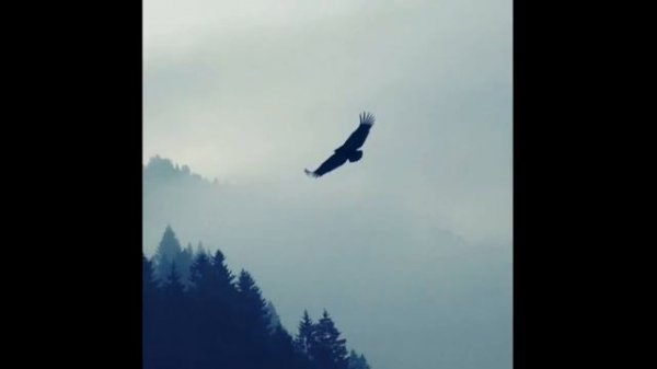 Geneburn - Wings (2005 raw edit) Hideout song