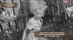 Хроники московского быта (Любовь продлевает жизнь)