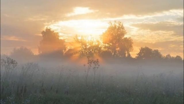 кофейный кот - зарисовка смотреть онлайн