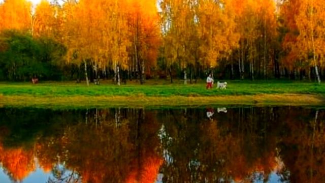 ОСЕНЬ ВИДЕО - СМОТРЕТЬ! Осенняя природа - осенняя краса смотреть онлайн