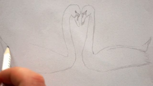Schwan zeichnen lernen - Vogel malen - how to draw swan / bird - Swans in Love - как рисовать лебед смотреть онлайн