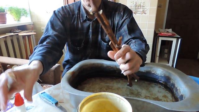 Домашнее укоренение черенков. Часть 2