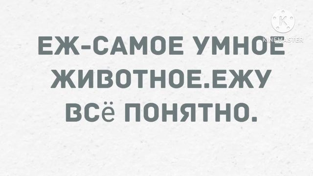 Запустил девушку к себе на кухню. Сборник свежих анекдотов! Юмор! смотреть онлайн