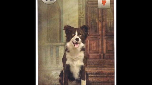 THELEMA LENORMAND - full flip through смотреть онлайн