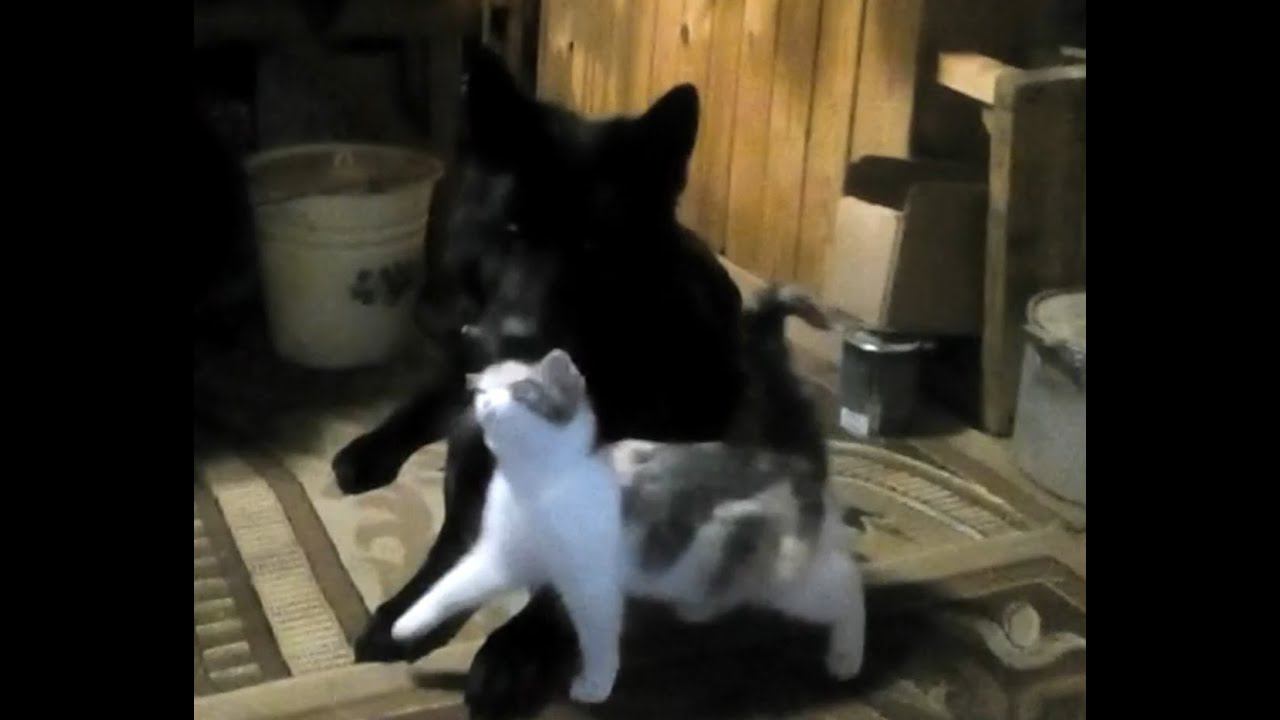 Марго и Масяня смотреть онлайн