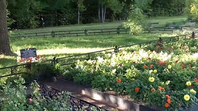 Царское Село. Феодоровский Государев собор смотреть онлайн