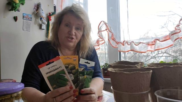Лучшие семена огурцов для посева в Ленинградской области! смотреть онлайн
