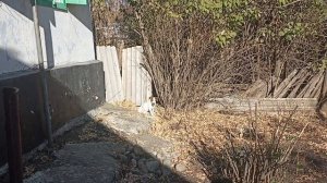 хутор Беловский Ставропольский край