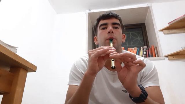 medieval song "Palastinalied" on irish tin whistle смотреть онлайн