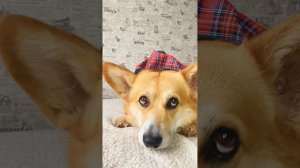 Хватит баловать только девочек! Мальчики тоже вкусное любят