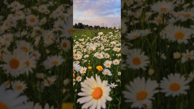 Россия❤️ смотреть онлайн