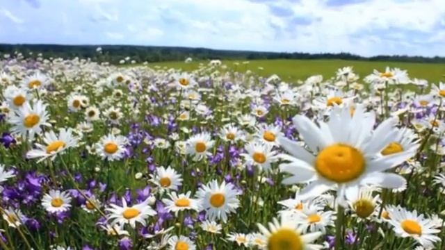 21 октября 2022 г. смотреть онлайн