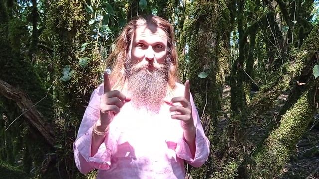 Приглашаем в поход на гору Бойко смотреть онлайн