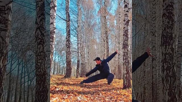 Уникальный цигун для поднятия тонуса организма. Шаолинь - Чи Шень( подъем духа).