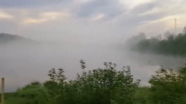 Запуск 3500 кг карпа и 1000 кг щуки в усадьбе «ЗОЛОТЫЕ КАРАСИ» - 22 мая 2019 год смотреть онлайн