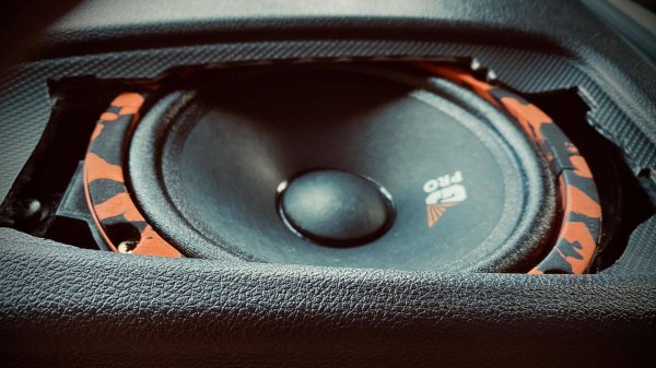 DL Audio Gryphon PRO 165 Midbass