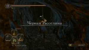 Где найти Забытый Ключ в Dark Souls 2 // Как открыть Секретные каменные Двери в локации Помойка