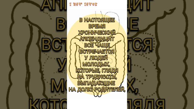 ТОЛСТАЯ КИШКА