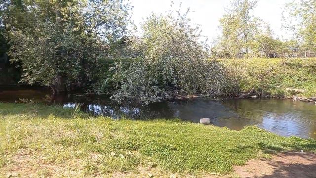 Прогулка вдоль реки в Уфалее/no comments смотреть онлайн