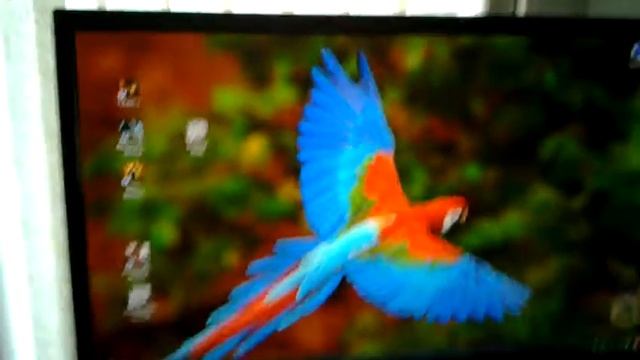 Lg IPS234 quick monitor review смотреть онлайн