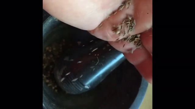 Думляма. Дымляма..... мой рецепт смотреть онлайн