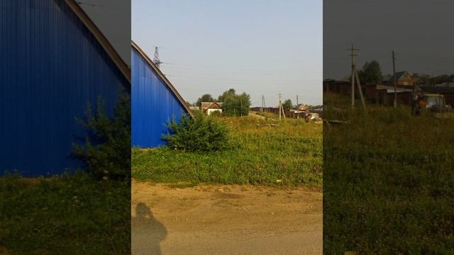 Кислотные Дачи. смотреть онлайн