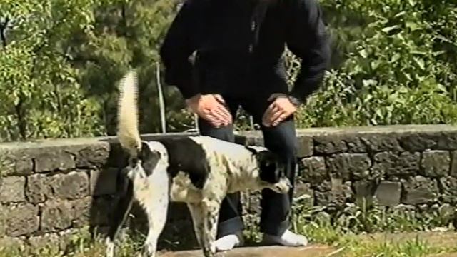 ДОЛИНА "КУЛУ" В ИНДИИ 1998г. смотреть онлайн