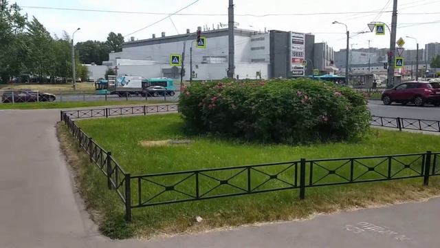 В Питер пришла аномальная жара! +34 с влажностью, это мраки для северных людей! 😁🌞 смотреть онлайн