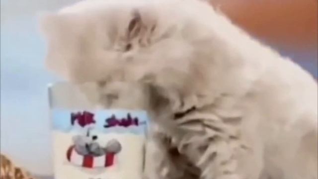 Я Русский смотреть онлайн