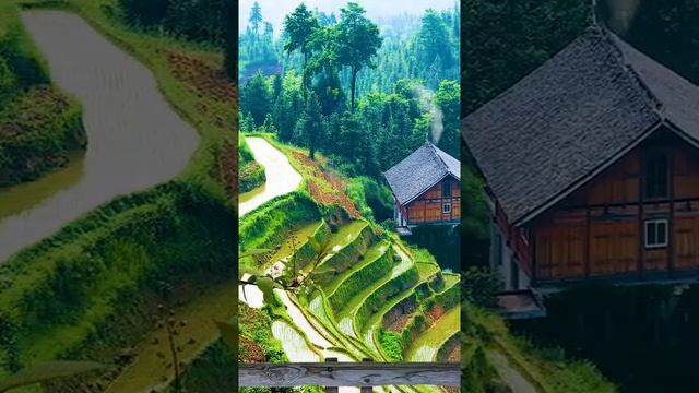 Лечебная медитация, отдых на красивой природе #Shorts #150 смотреть онлайн