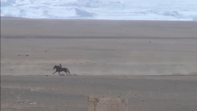 Скачки.Ат жарыс.дист 3км.1-шi "Элегант".2-шi "Найман". смотреть онлайн
