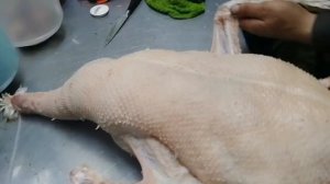 ОЩИП ГУСЯ. СУПЕР СПОСОБ