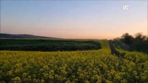 В Высоцкий   Идут по Украине солдаты группы  Центр   Z