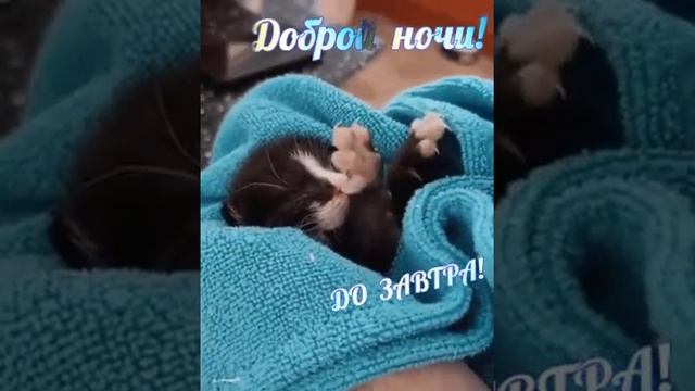 доброй ночи, до завтра смотреть онлайн